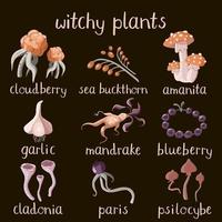 Set of witchy magic plants and mushrooms on a dark background vector