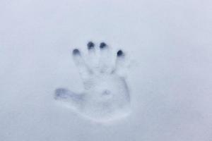 la huella de la mano de una persona foto