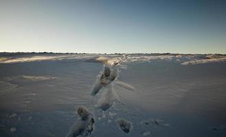 tiempo de invierno, nieve foto