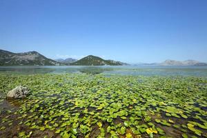 the lake. Montenegro photo