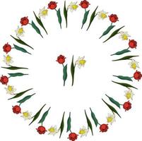 Set with red tulips and white daffodils on white background. Round frame and isolated floral elements for your design vector