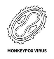 Monkeypox virus internal structure of the cell in close up vector