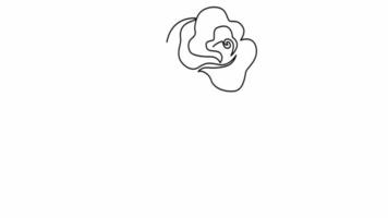 Continuous Line Drawing Of A Rose, Animated Sketch. video