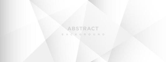 Abstract white and gray gradient background vector