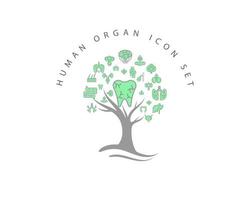 Human organ icon set on white background vector