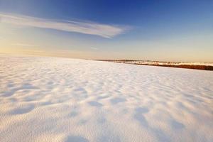 snow-covered fields in winter photo