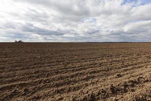 plowed agricultural field sown with grain photo