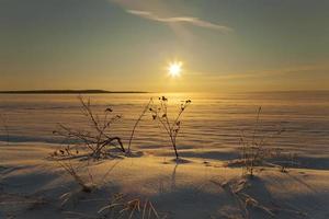 snow-covered fields in winter photo