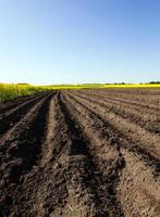 a plowed field photo