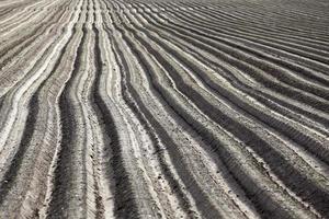 plowed field, furrows photo