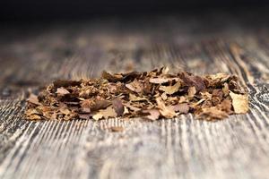 tobacco from cigarettes causing nicotine addiction, close up