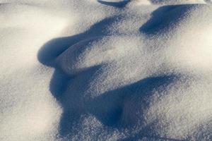 hummocks in the swamp large drifts after snowfalls photo