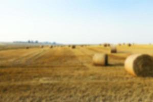 stack of straw in the field photo