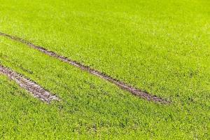 road in a field photo