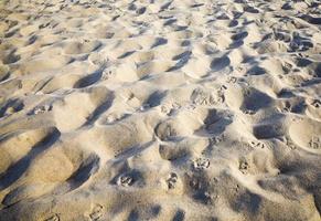 close up photo of sand and soil