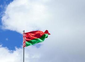 flag of Belarus photo