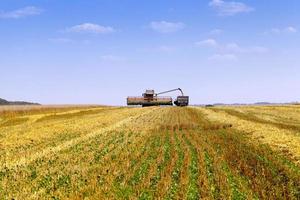 Harvester in the field photo