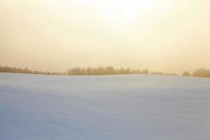 bosque en invierno, amanecer foto