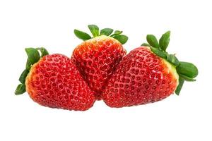 Strawberry on white background photo
