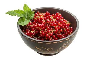 Red currant in a bowl on white background photo