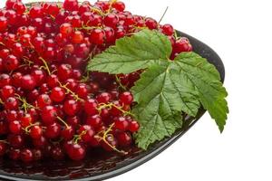 Red currant on the plate close up view photo