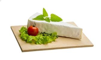 Brie cheese with thyme on wooden plate and white background photo