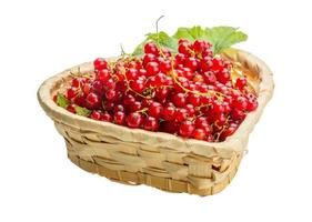 Red currant in a basket on white background photo