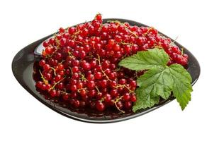 Red currant on the plate and white background photo