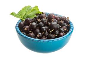 Black currant in a bowl on white background photo