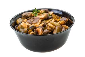 Broad beans in a bowl on white background photo