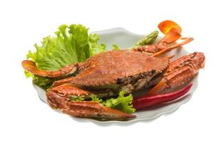 Boiled crab on the plate and white background photo