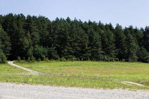 agricultural activities in the field of crop production photo