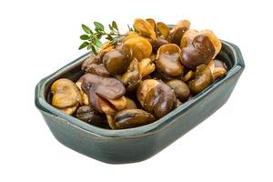 Broad beans in a bowl on white background photo