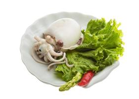Boiled cuttlefish on the plate and white background photo