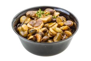 Broad beans in a bowl on white background photo