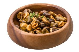 Broad beans in a bowl on white background photo