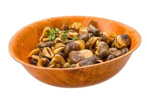 Broad beans in a bowl on white background photo