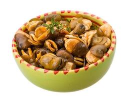 Broad beans in a bowl on white background photo