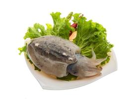 Raw cuttlefish on the plate and white background photo