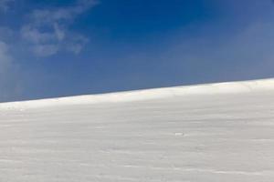 snow covers the ground and trees, plant in winter photo