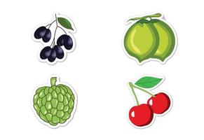 conjunto de pegatinas de diferentes frutas, ilustración vectorial plana vector