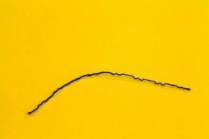 a thin black thread lies on the yellow paper photo