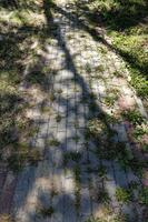 part of a stylized old concrete path photo