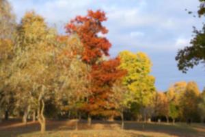 otoño en el parque foto