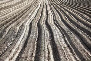 plowed field, furrows photo