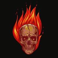 Skull on fire on a black background. Vector graphics.