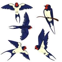 Set of swallows isolated on a white background. Vector graphics.