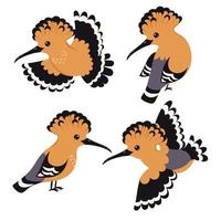 Set of birds hoopoe isolated on white background. Vector graphics.