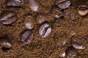 roasted coffee beans photo