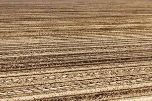 ploughed soil on which cereals are grown photo